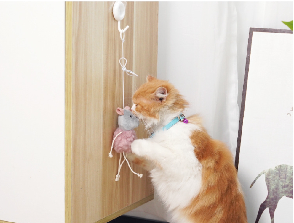 Cardboard Ramp Cat Scratcher